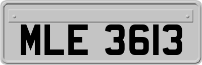 MLE3613