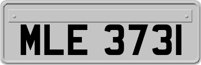 MLE3731