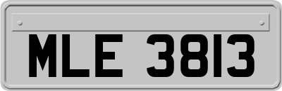MLE3813