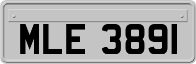 MLE3891