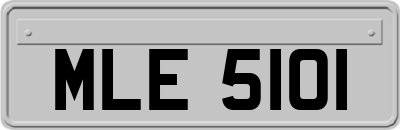 MLE5101