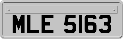 MLE5163