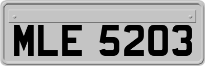 MLE5203