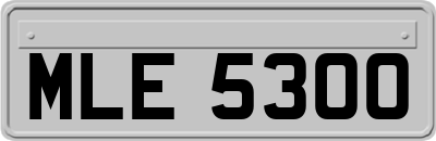 MLE5300