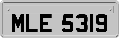 MLE5319