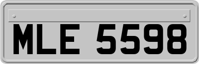 MLE5598