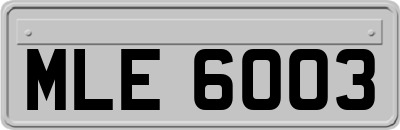 MLE6003