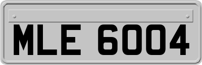 MLE6004