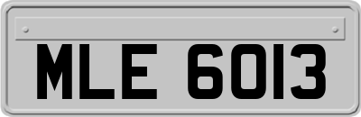 MLE6013