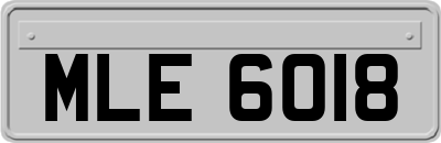 MLE6018