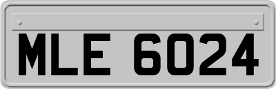 MLE6024