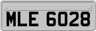 MLE6028