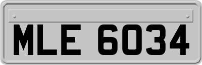 MLE6034