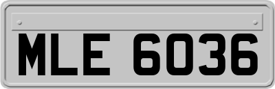 MLE6036