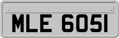 MLE6051