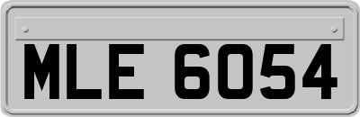 MLE6054