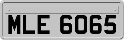 MLE6065
