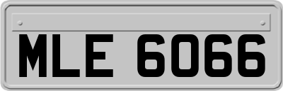 MLE6066
