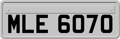 MLE6070