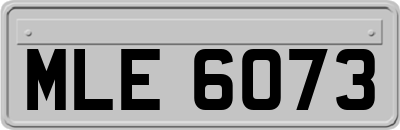 MLE6073