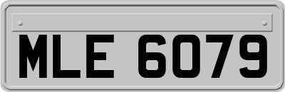 MLE6079
