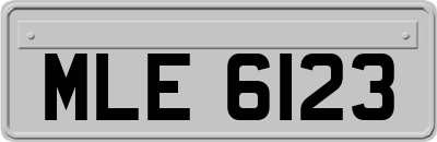 MLE6123