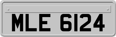 MLE6124