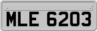 MLE6203