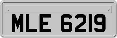 MLE6219