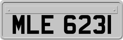 MLE6231