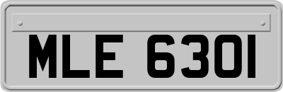 MLE6301