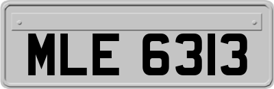 MLE6313