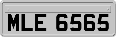 MLE6565