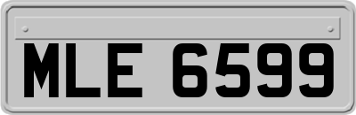 MLE6599