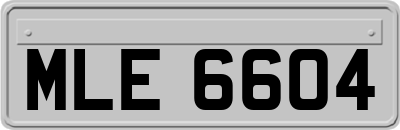 MLE6604