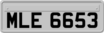 MLE6653
