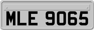 MLE9065