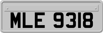 MLE9318
