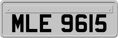 MLE9615