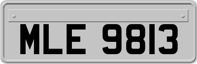 MLE9813