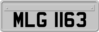MLG1163