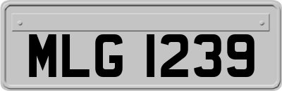 MLG1239