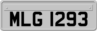 MLG1293