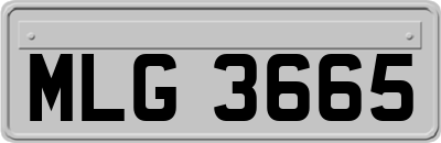 MLG3665