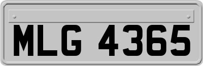 MLG4365