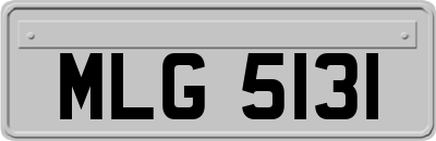 MLG5131