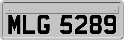 MLG5289