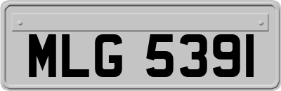MLG5391