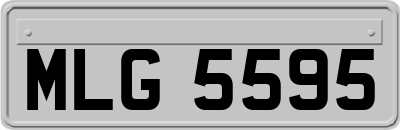 MLG5595