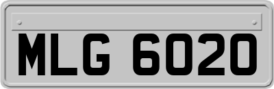 MLG6020